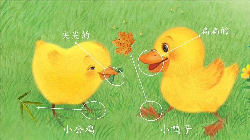 部編版小學(xué)語文一年級(jí)下冊(cè)5《小公雞和小鴨子》課件第3頁