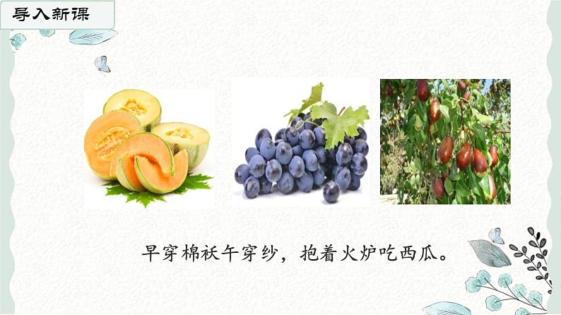 11.《葡萄沟》第一课时 课件+教案+练习05