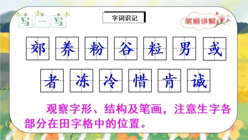 25《灰雀》课件PPT+生字课件+教案+音视频素材06