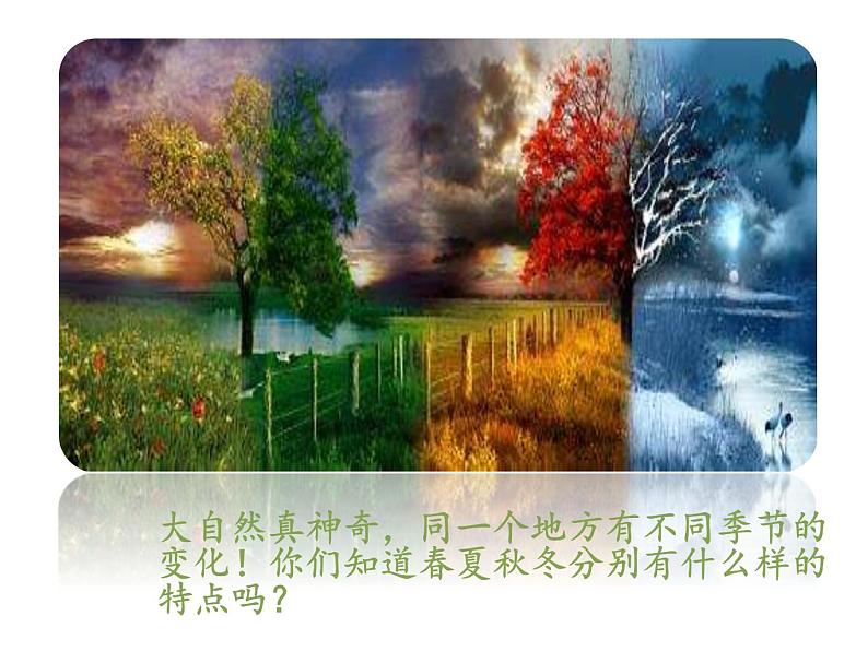 一年级语文下册课件-1 春夏秋冬 (共34张PPT)-部编版第3页