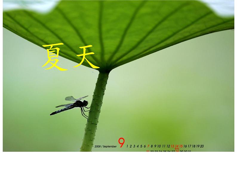 一年级语文下册课件-1 春夏秋冬 (共34张PPT)-部编版第7页