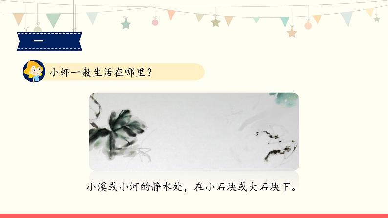 部编版小学语文三年级下册15《小虾》课件第5页