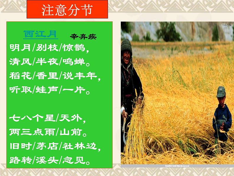 六年级上册语文课件第3课古诗词三首:西江月·夜行黄沙道中(共13张PPT)第5页