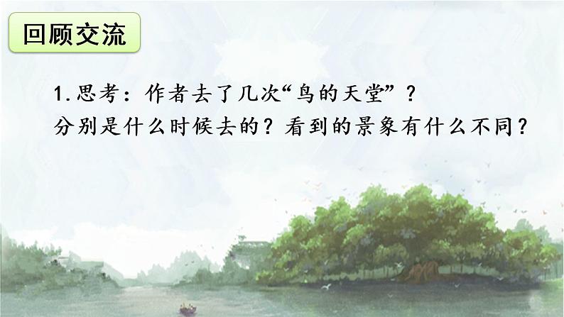 23 《鸟的天堂》课件02