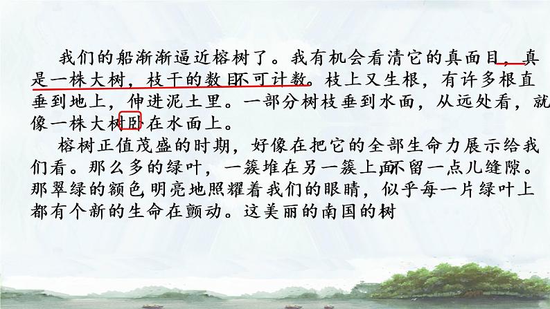 23 《鸟的天堂》课件08