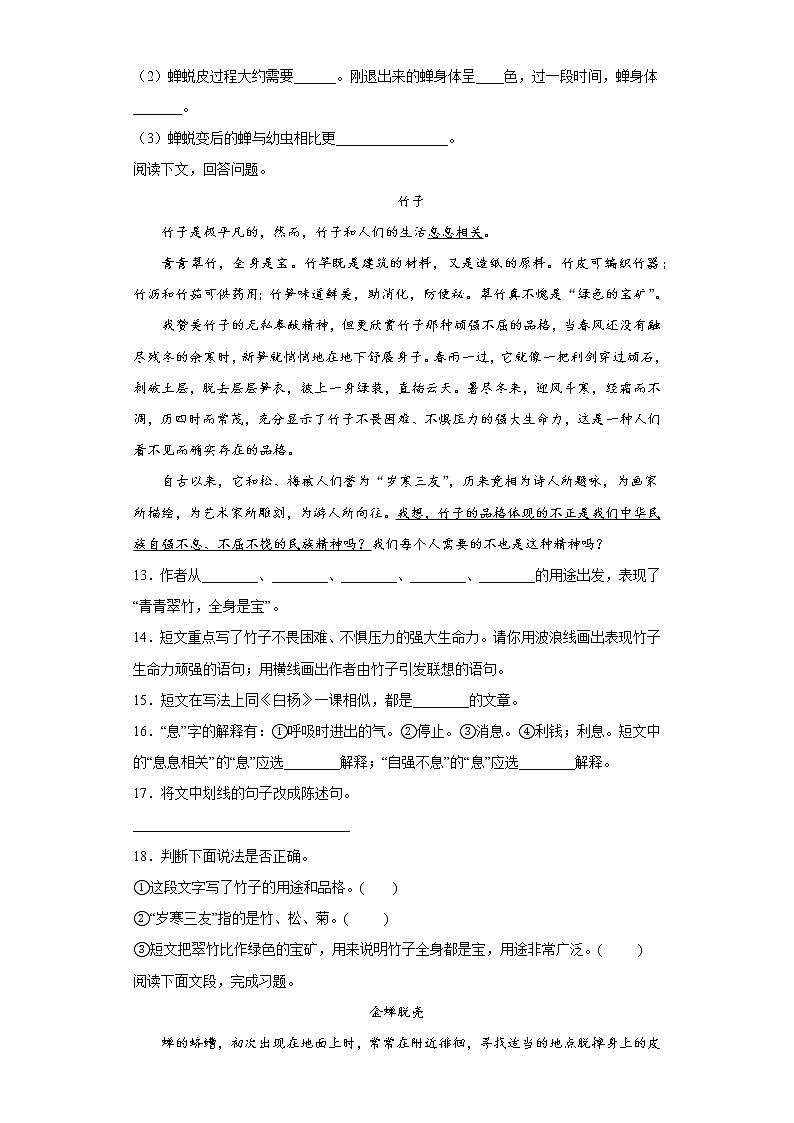 小升初复习课外阅读专项突破练习(试题)部编版语文六年级下册第3页