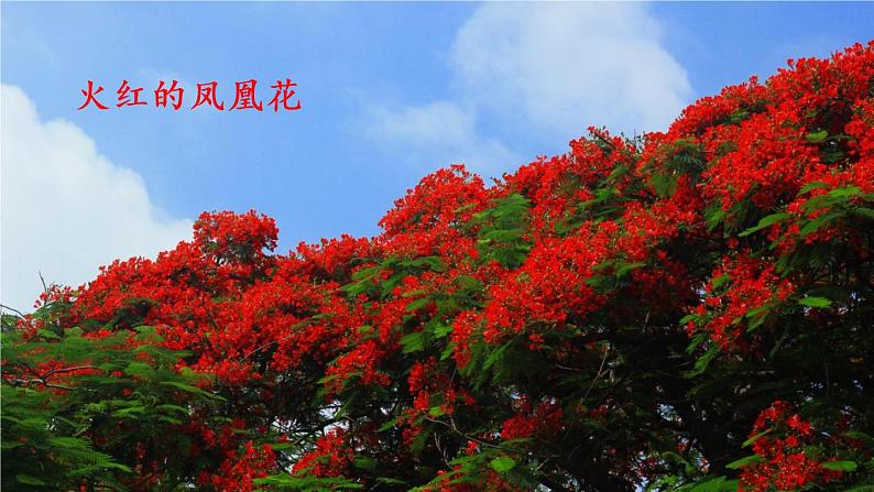 17.《难忘的泼水节》(第二课时)课件+教案+练习07