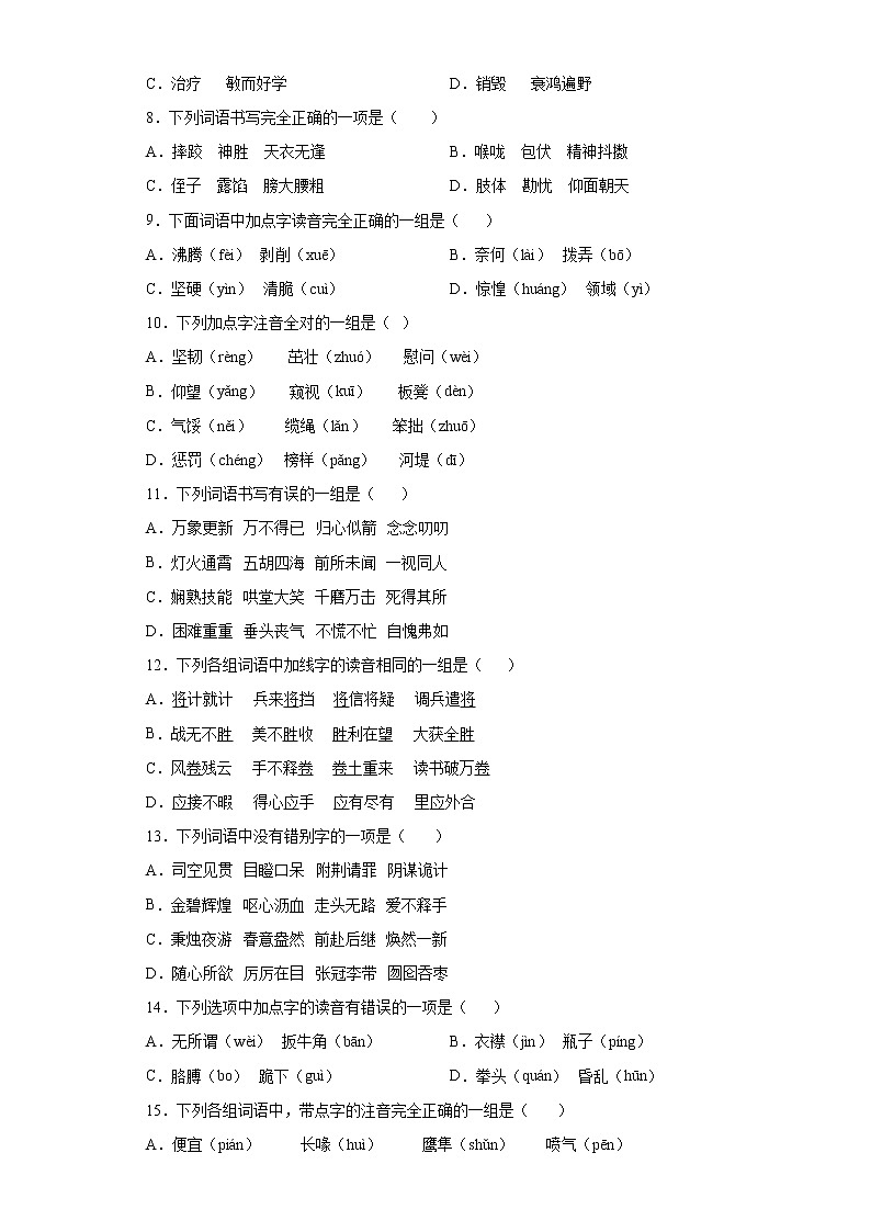 小升初字音字形+专项突破练习(试题)部编版语文六年级下册 (一)(含答案)第2页