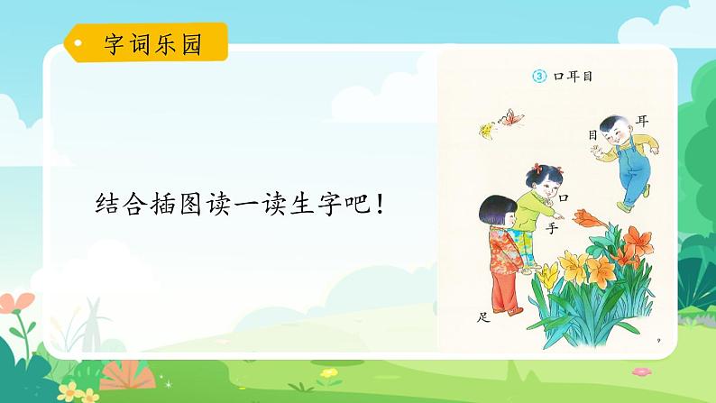 一年级上册语文部编版一年级上册语文部编版02 教学课件_口耳目(第1课时)05