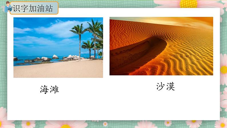 《语文园地七》(第一课时)课件+教案+练习02