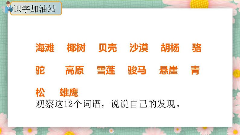 《语文园地七》(第一课时)课件+教案+练习08