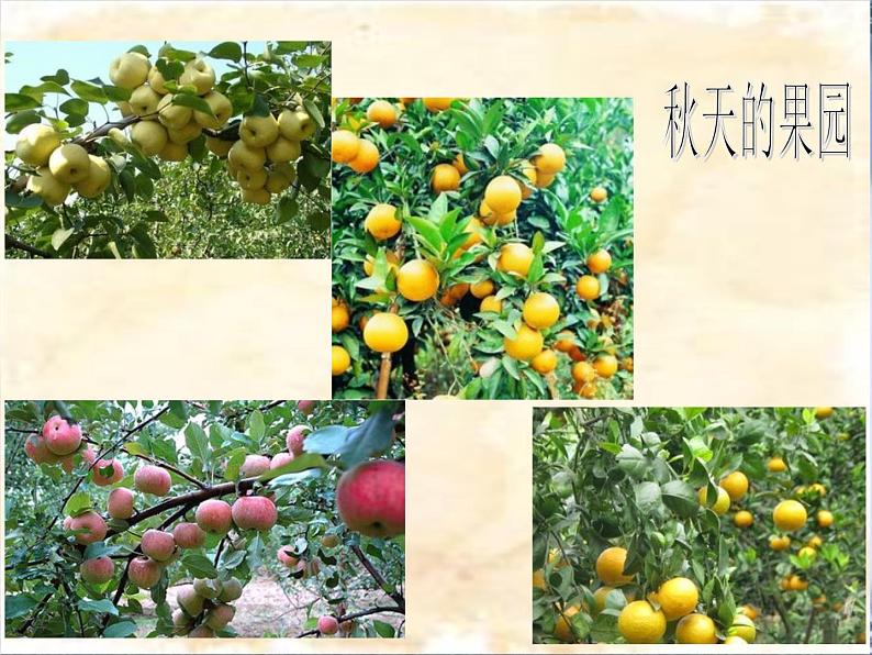一年级上册语文部编版03 教学课件_秋天2第2页