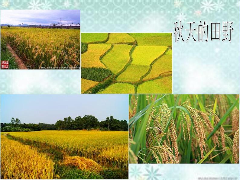 一年级上册语文部编版03 教学课件_秋天2第3页