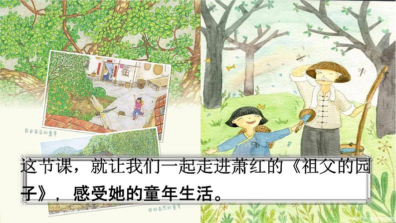 人教统编版五年级语文下册《2 祖父的园子 第1课时》教学课件PPT小学公开课第3页