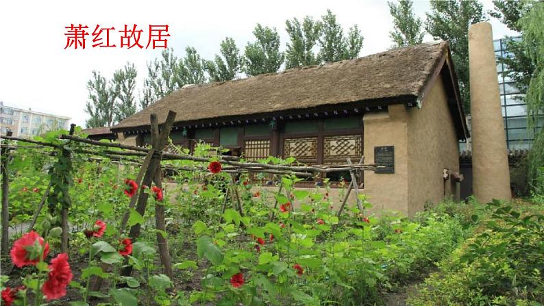 人教统编版五年级语文下册《2 祖父的园子 第1课时》教学课件PPT小学公开课第5页