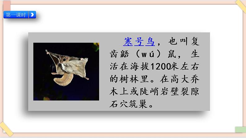部编版五四学制二年级上册寒号鸟课件03
