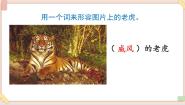 小学语文人教部编版 (五四制)四年级上册19 一只窝囊的大老虎教案配套ppt课件