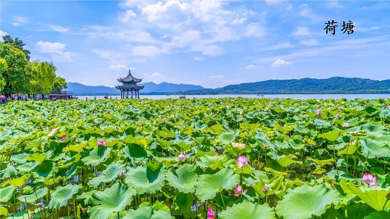 江南 课件 部编版语文一年级上册第6页