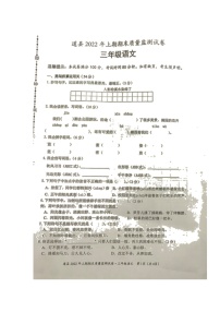 湖南省永州市道县2021-2022学年三年级下学期期末质量监测语文试题（无答案）