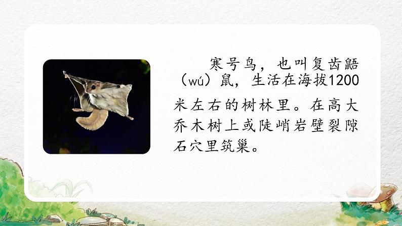 2022-2023学年二年级上册语文部编版02 教学课件_寒号鸟(第1课时)03