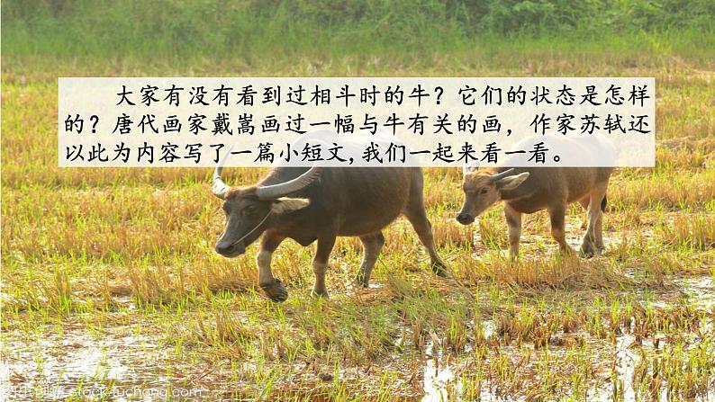 部编版语文六年级上册文言文二则《书戴嵩画牛》 课件第5页