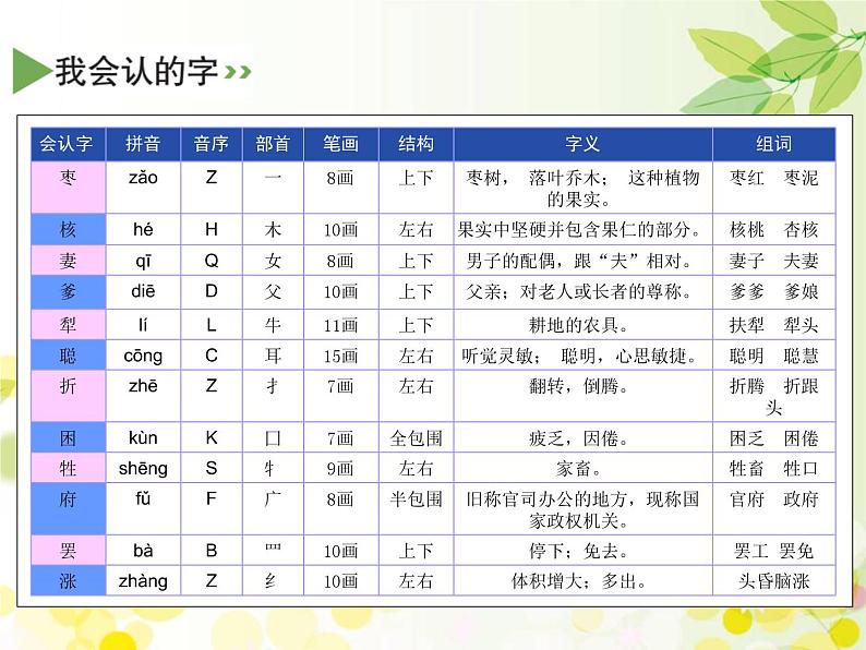三年级下册语文课件-28 枣核 部编版(共17张PPT)06