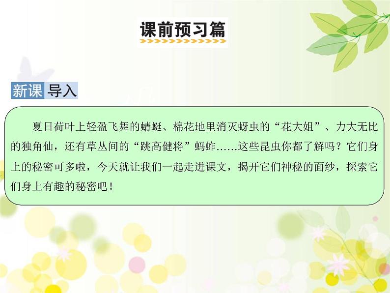 三年级下册语文课件-4 昆虫备忘录 部编版(共18张PPT)第2页