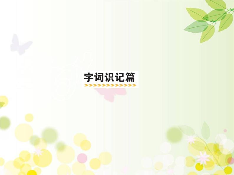 三年级下册语文课件-4 昆虫备忘录 部编版(共18张PPT)第5页
