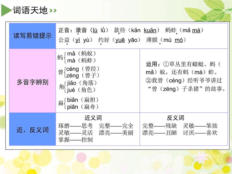 三年级下册语文课件-4 昆虫备忘录 部编版(共18张PPT)第7页
