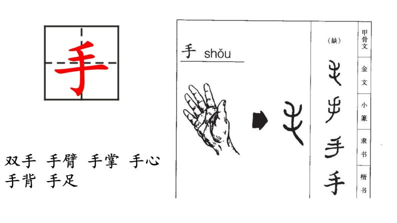 部编版语文一年级上册-03识字（一）-03口耳目-课件0207