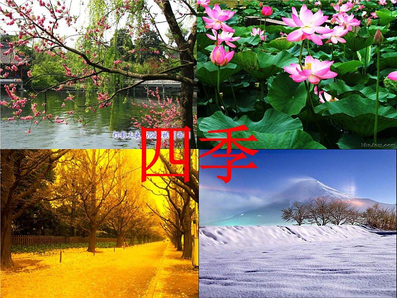 部编版语文一年级上册-04课文(一)-04四季-课件03第2页