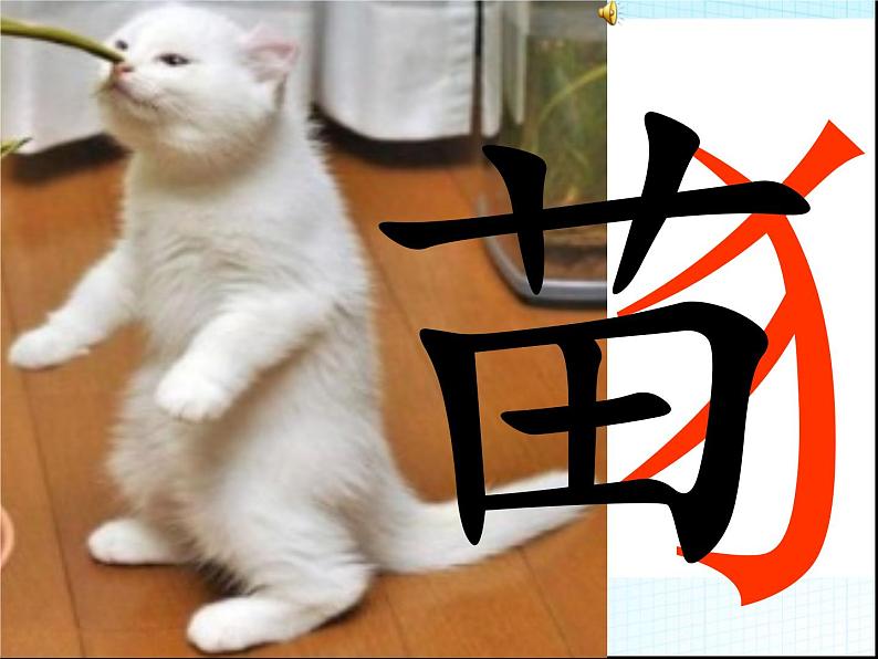 部编版语文一年级上册-05识字(二)-02大小多少-课件0307