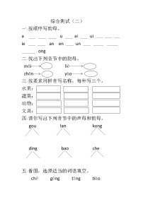 人教版一年级上册汉语拼音综合测试（二）