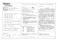 河南省郑州市二七区2021-2022学年四年级下学期期末语文试卷（无答案）