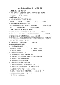 湖南省郴州市2021-2022学年六年级下学期期末小升初语文试卷（含答案）