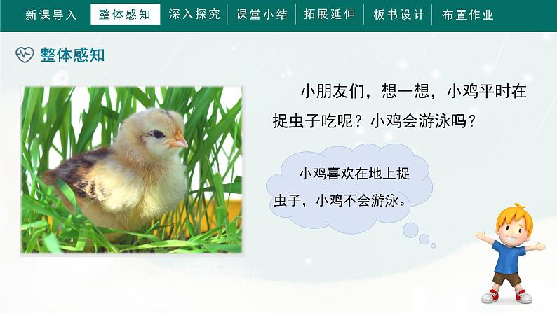 部编版小学语文一年级下册《小公鸡和小鸭子》教学课件第7页