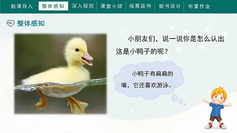 部编版小学语文一年级下册《小公鸡和小鸭子》教学课件第8页