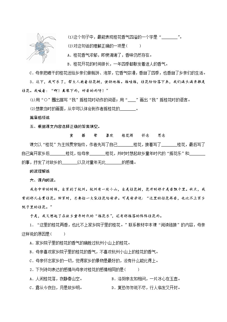 3《桂花雨》课件PPT+生字课件+教案+练习+音视频素材02