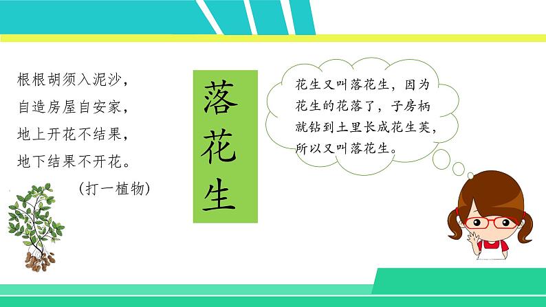 部编版五年级语文上册课件 第一单元 2落花生第2页