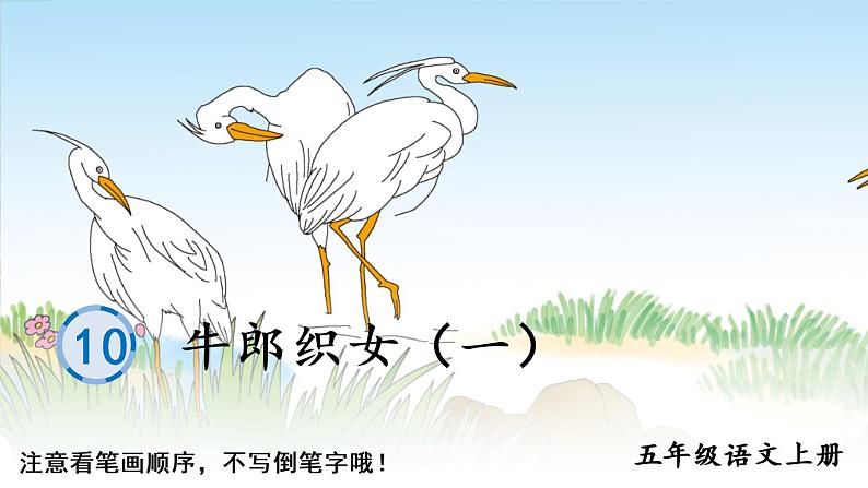 部编语文五年级上册10 牛郎织女(一)生字笔顺课件01