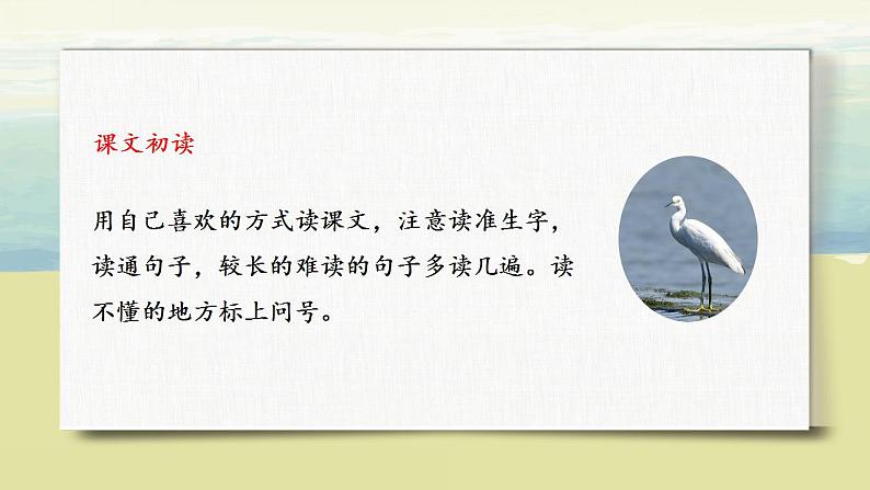 部编版语文五年级上册《白鹭》课件第7页