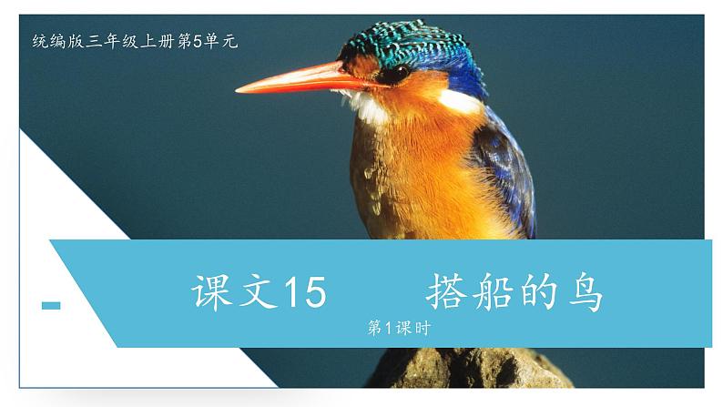 部编版语文三年级上册 教学课件_搭船的鸟1(第1课时)第1页