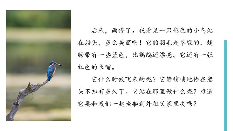 部编版语文三年级上册 教学课件_搭船的鸟1(第1课时)第4页