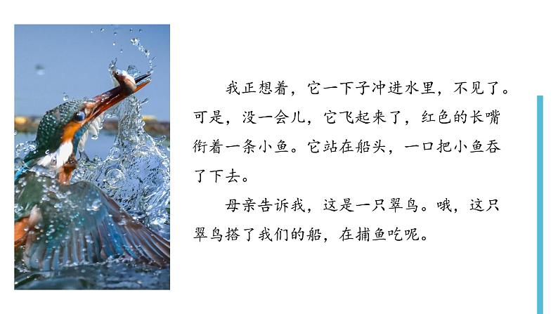 部编版语文三年级上册 教学课件_搭船的鸟1(第1课时)第5页