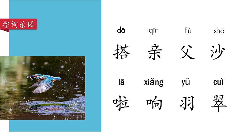 部编版语文三年级上册 教学课件_搭船的鸟1(第1课时)第6页