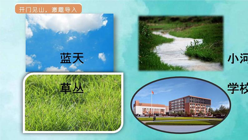 部编版语文三年级上册 教学课件_父亲、树林和鸟2(第1课时)05