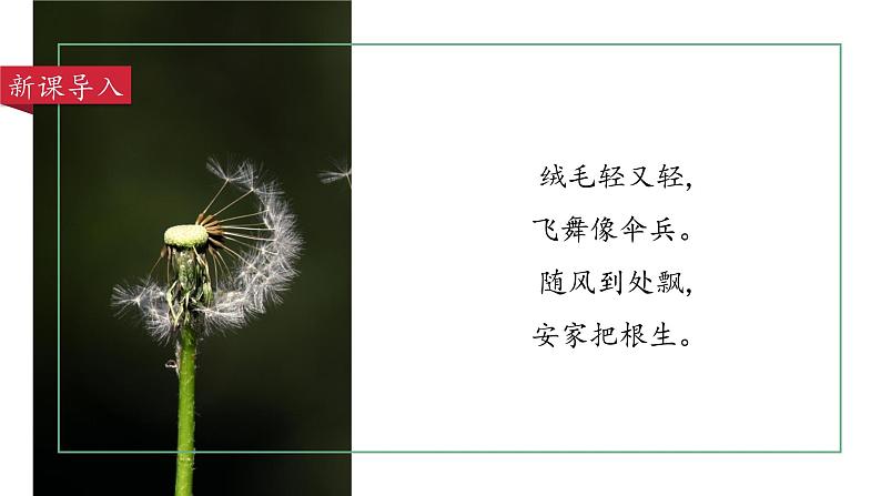 部编版语文三年级上册 教学课件_金色的草地1(第1课时)02