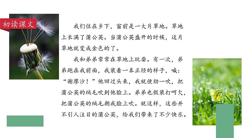 部编版语文三年级上册 教学课件_金色的草地1(第1课时)03