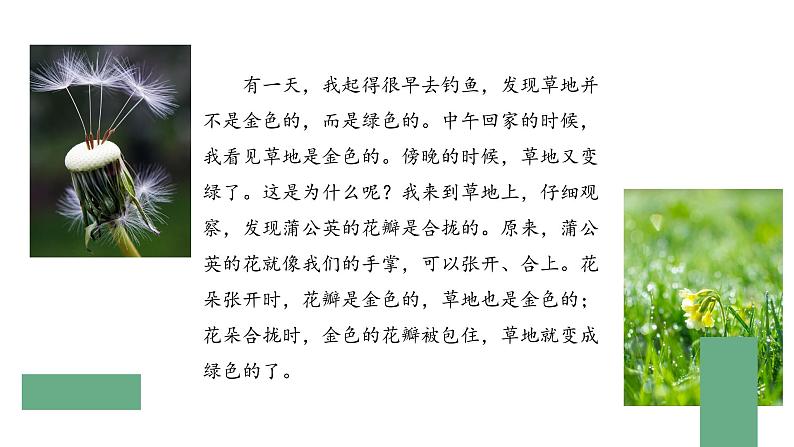 部编版语文三年级上册 教学课件_金色的草地1(第1课时)04