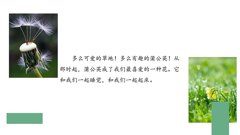 部编版语文三年级上册 教学课件_金色的草地1(第1课时)05